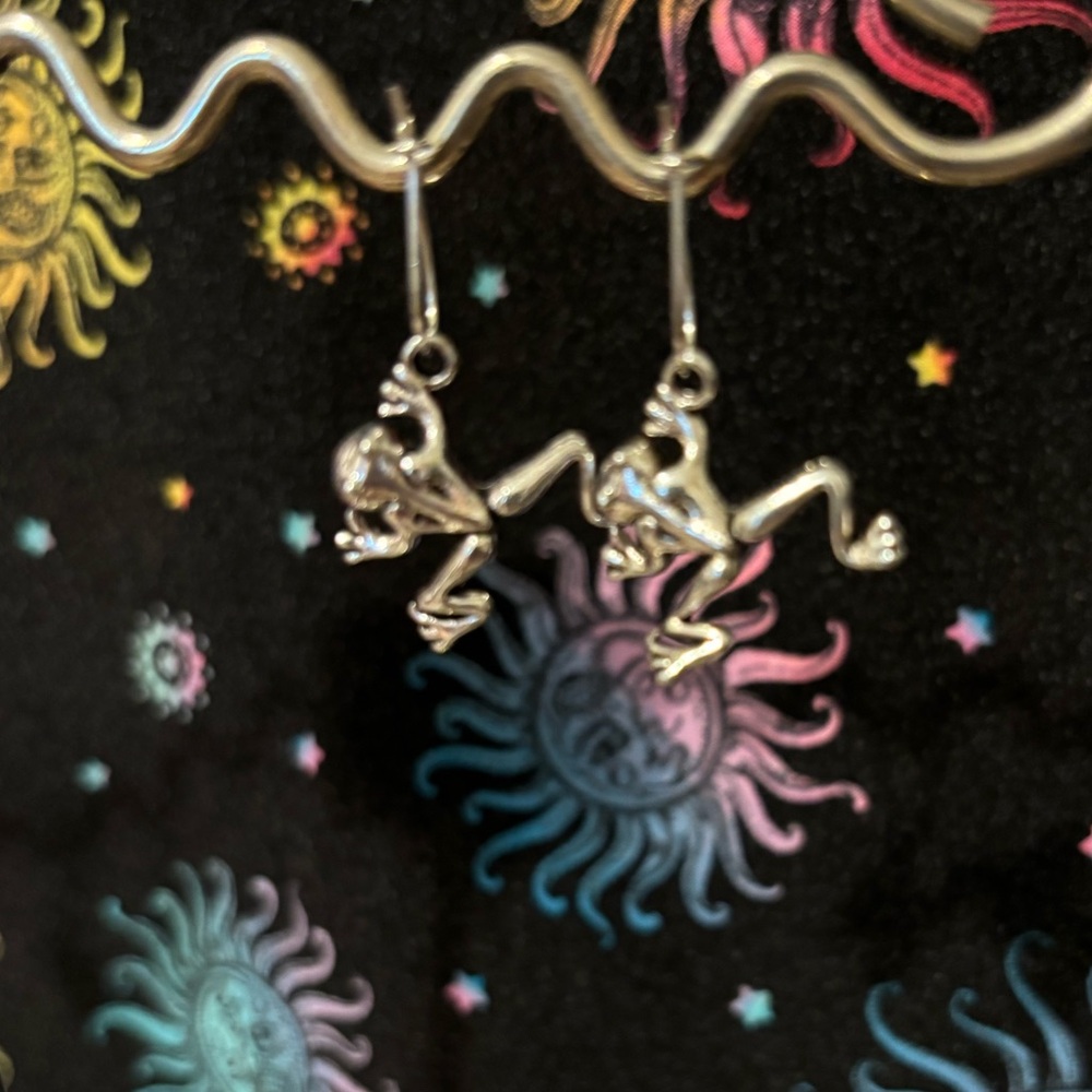 🩷Frog Earrings🩷
